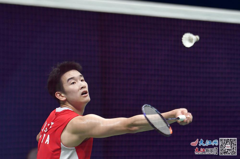 晒干黄蜂则 晒干黄蜂则